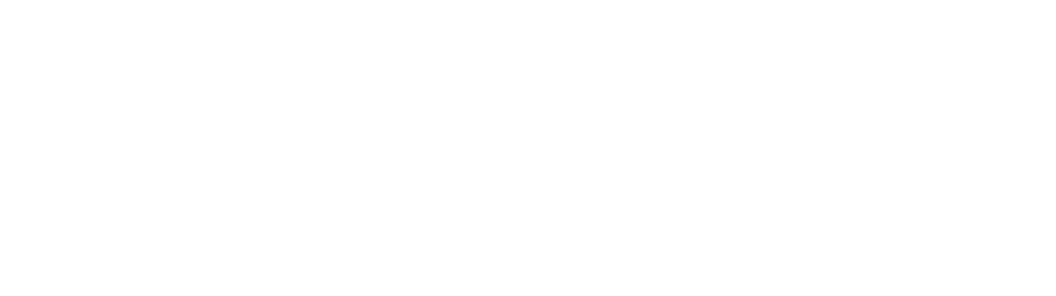 British Nutrition Foundation Logo in White