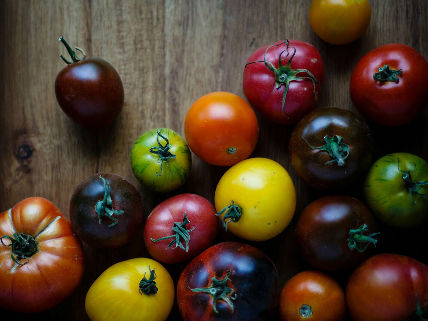 Collection of tomatoes